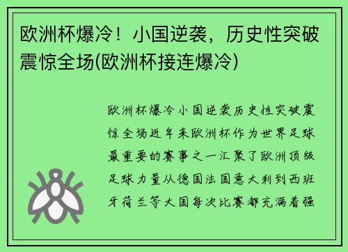 欧洲杯爆冷！小国逆袭，历史性突破震惊全场(欧洲杯接连爆冷)